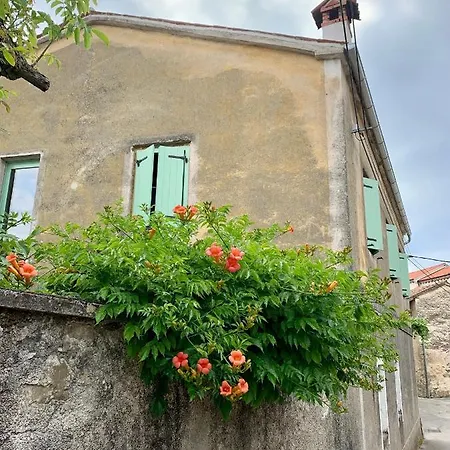 Samson And The Lilo *