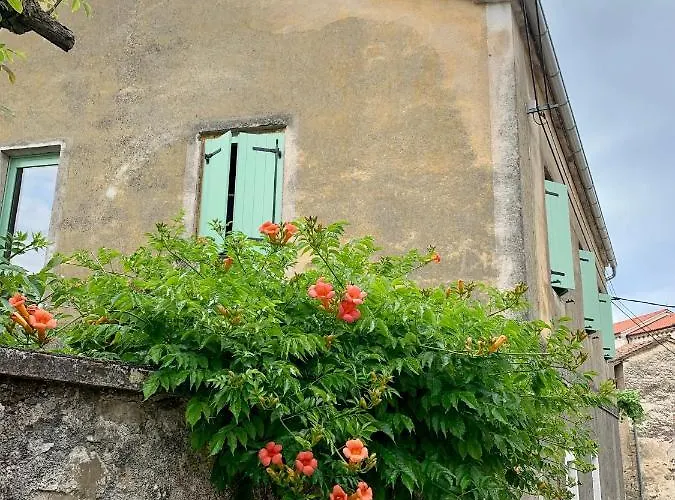 Samson And The Lilo *